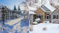 Mitä puutarhassa pitää tehdä tammikuussa: 7 vinkkiä kuninkaalliselta puutarhurilta