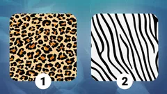 Sydän vai järki: Valitse kuvio ja selvitä, mikä sinua oikeasti ohjaa